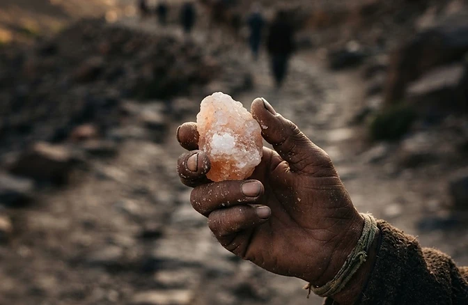The Salted Path: How Ancient Trade Routes Shaped Our World