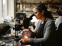 The Visual Cortex: A Brain That Defends Its Turf
