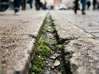 The Sidewalk: A Four-Inch Mystery