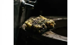 Your Kitchen Sponge Is Dirtier Than Your Toilet