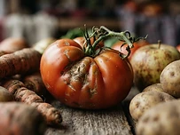 The Psychology of the 'Ugly' Fruit