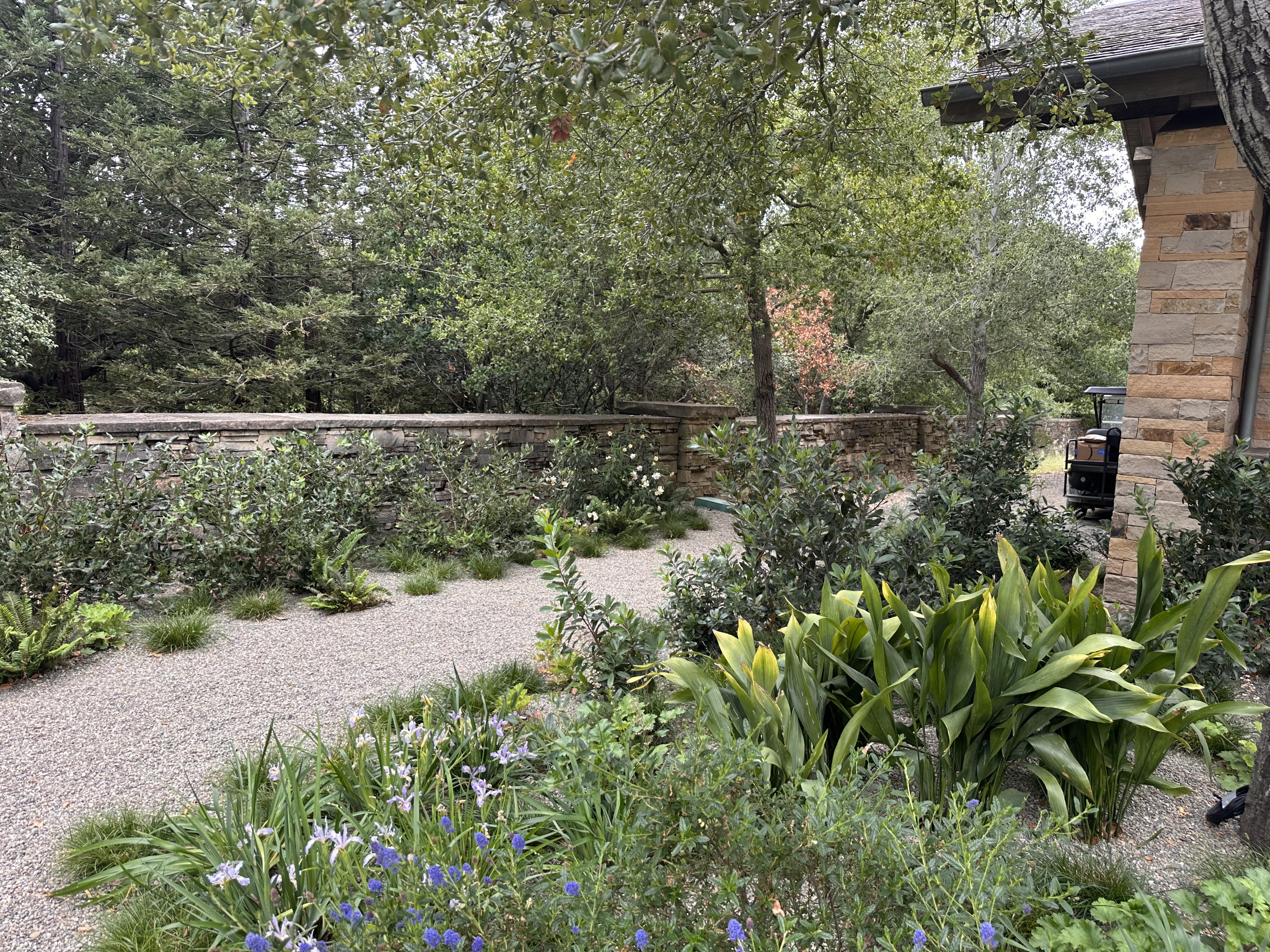 Oak Sanctuary
