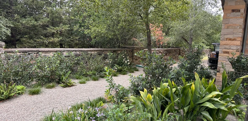 Oak Sanctuary