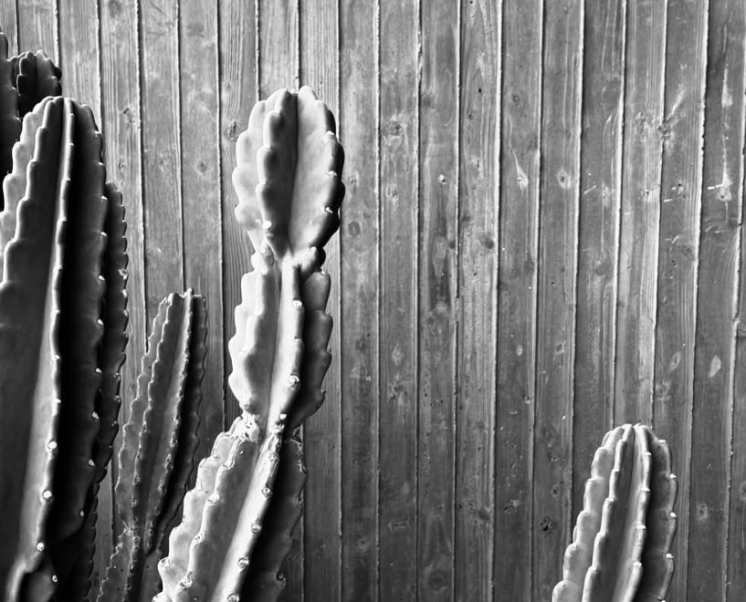Wabi-Sabi House 7