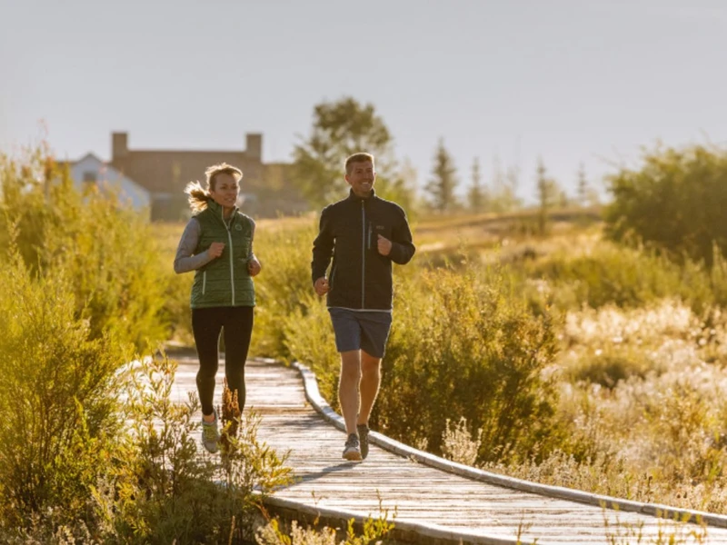 A boardwalk path through wetlands in Driggs, Idaho