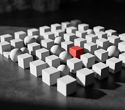 Human Capital Transformation & Job Redesign