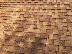 Top Dog Contracting project