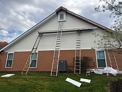 Top Dog Contracting project