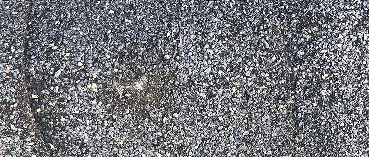 Close-up of hail-bruised asphalt shingle granules