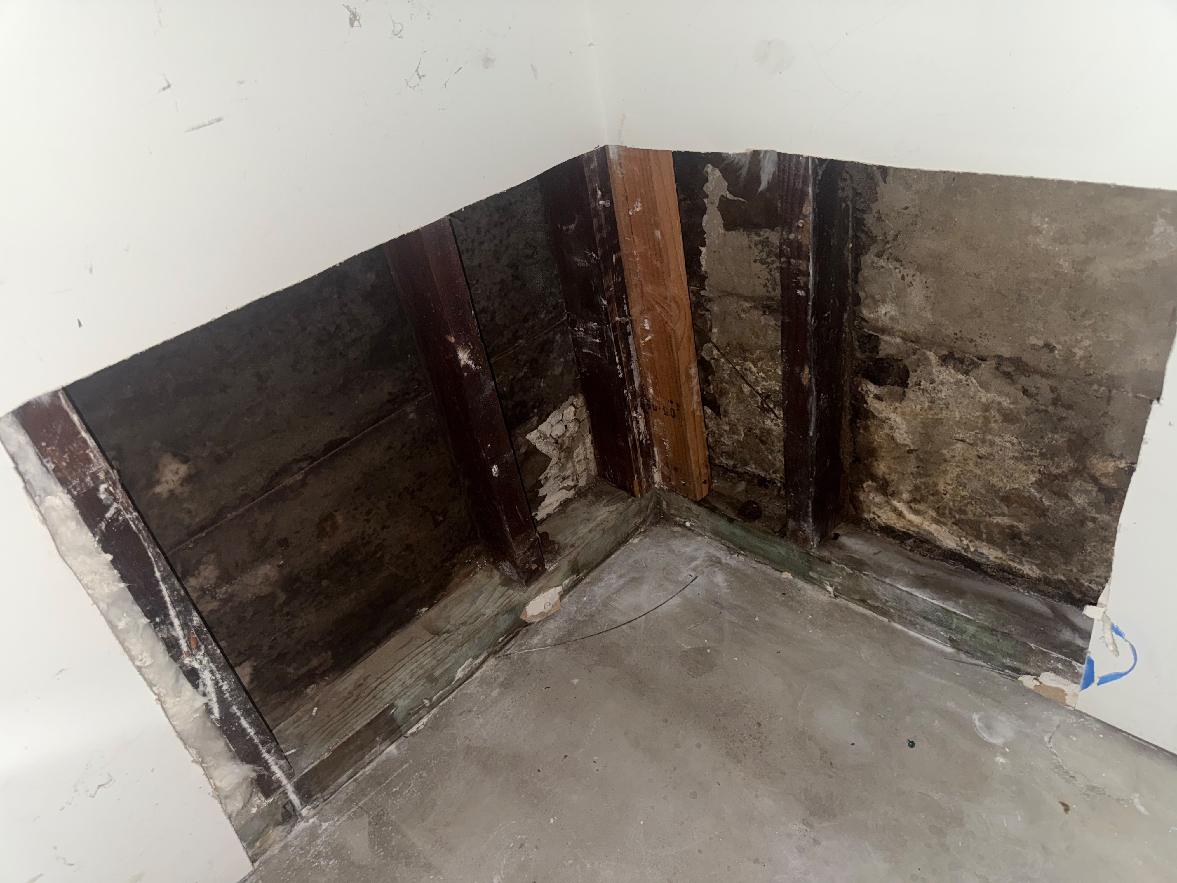 Water Damage — Moisture-Damaged Sheathing Exposure — fire and smoke damage restoration project by Save Pro Restoration in Los Angeles County