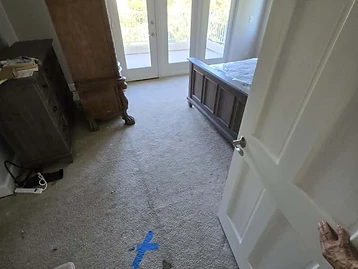 Bedroom carpet with blue painter's tape marking a moisture inspection area, armoire and French doors visible
