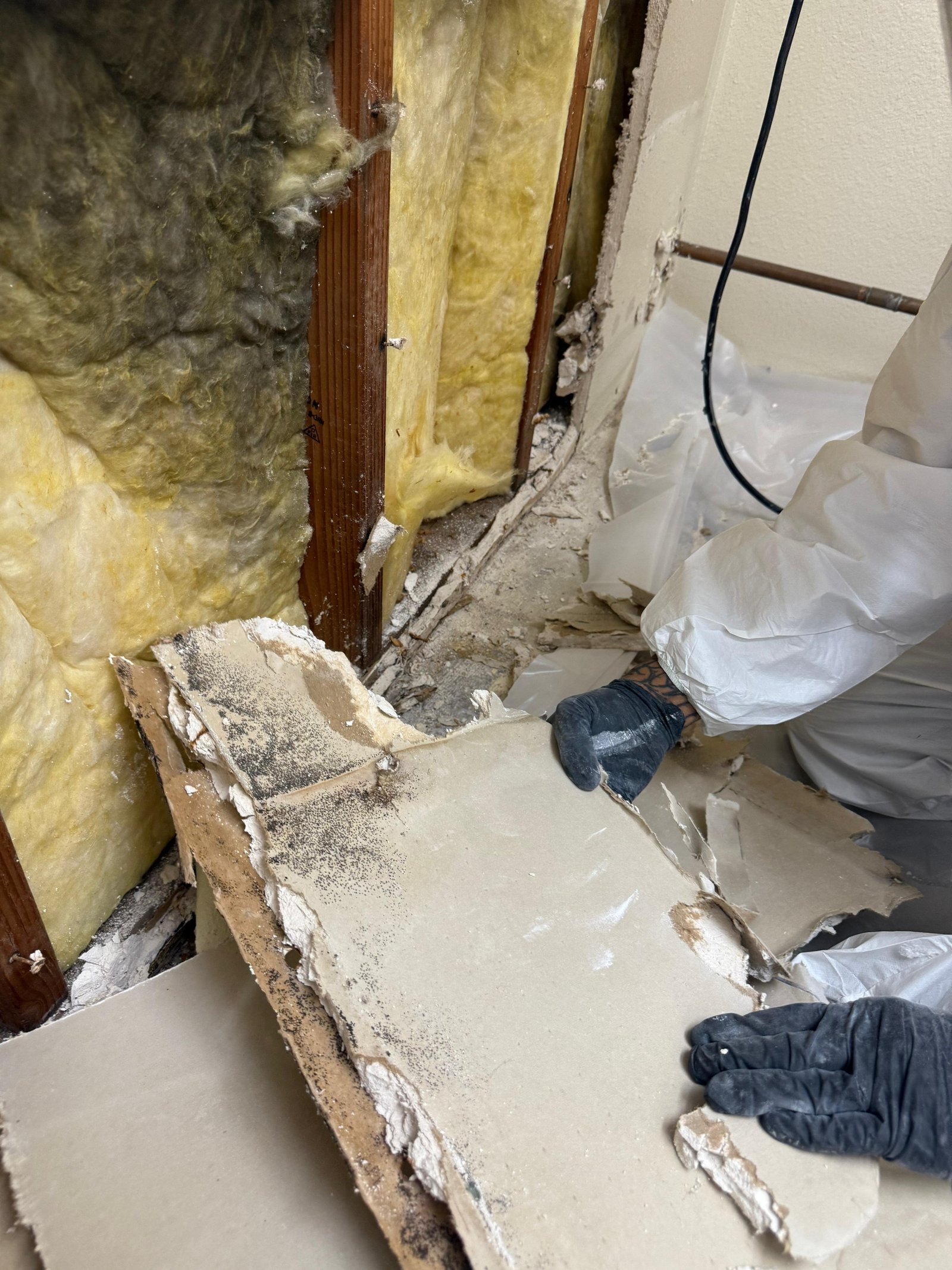 Mold Testing & Removal