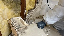 Mold Testing & Removal — Save Pro Restoration