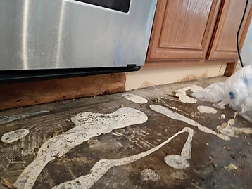 Moisture-damaged floor under a kitchen appliance with dark water stain, white sealant residue, and water-stained cabinetry trim