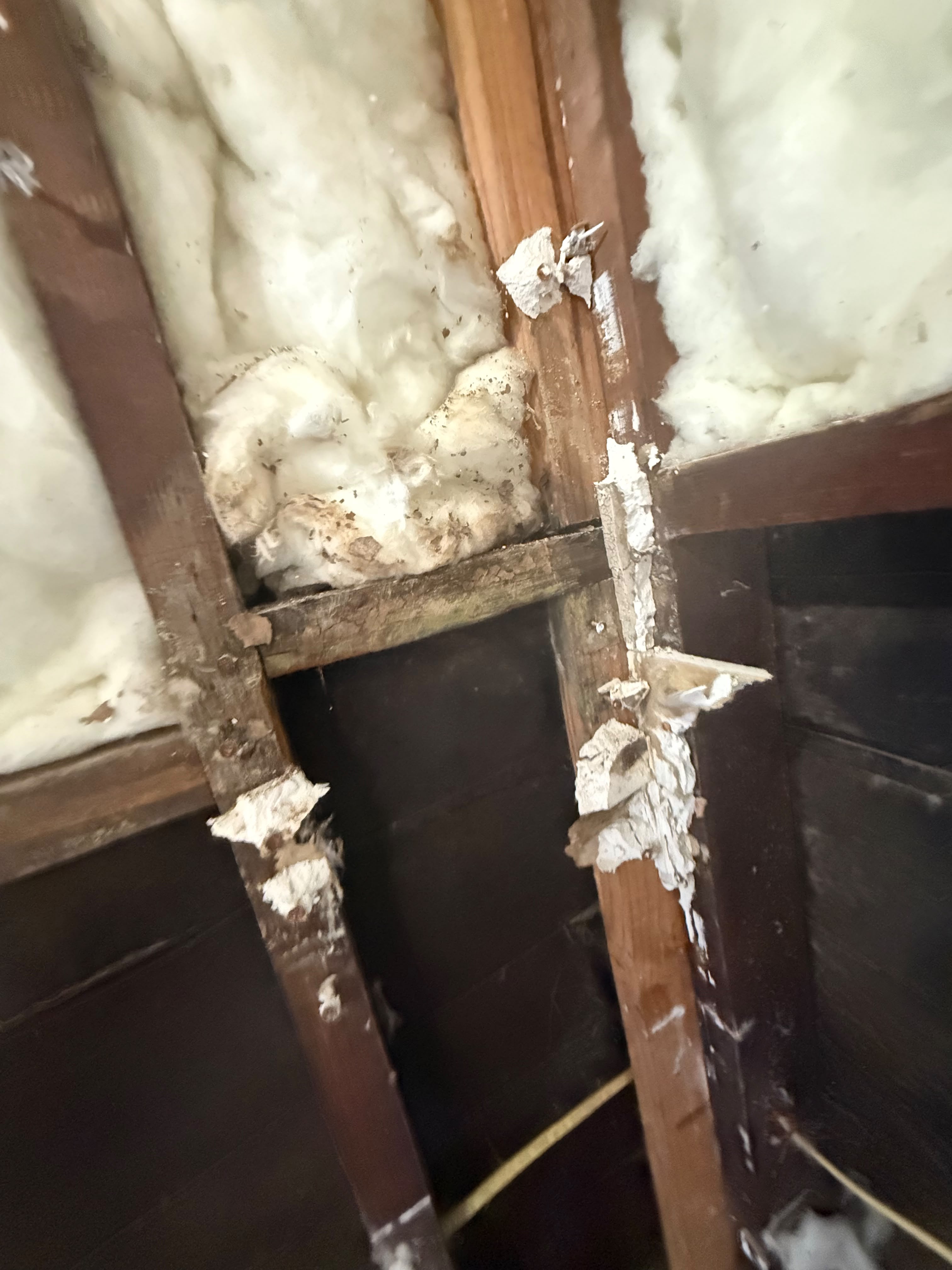 Water Damage — Wall Cavity Stud and Insulation Detail