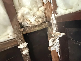 Close-up of wall cavity between two dark wooden studs with white fiberglass insulation and drywall remnants