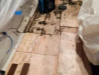 Top-down view of kitchen subfloor with dark mold staining, blue air mover, and plastic sheeting around edges