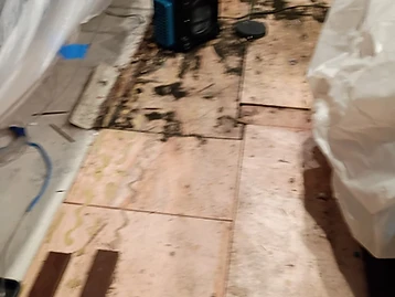 Top-down view of kitchen subfloor with dark mold staining, blue air mover, and plastic sheeting around edges