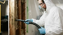 Professional Mold Assessment and Remediation Procedures — Save Pro Restoration blog