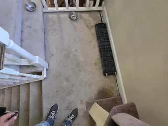 Top-down view of stairwell landing with carpet, cat tree, and view of lower level renovation