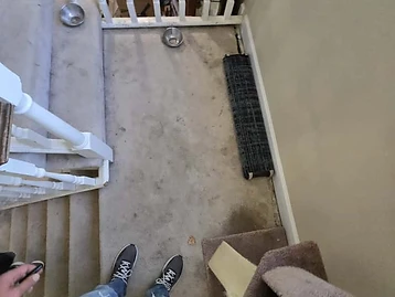 Top-down view of stairwell landing with carpet, cat tree, and view of lower level renovation
