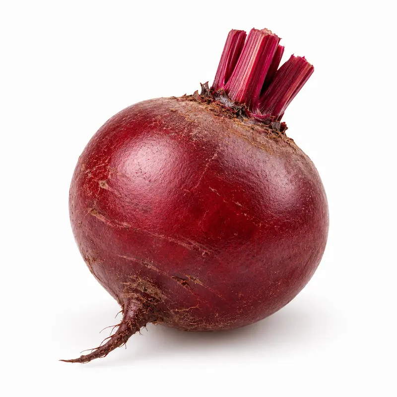 סלק