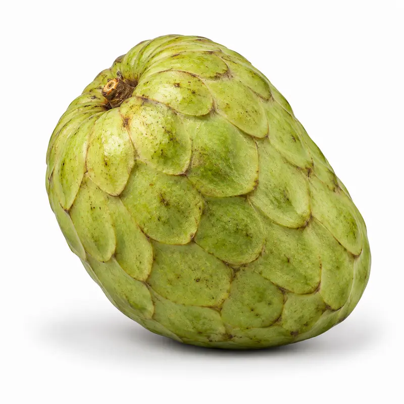 אנונה