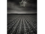 La stella che si è spenta, ma il campo è rimasto