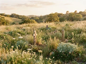 Judean Garden