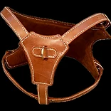 Le harnais en cuir marron glacé, vue de face, sculpté par la lumière
