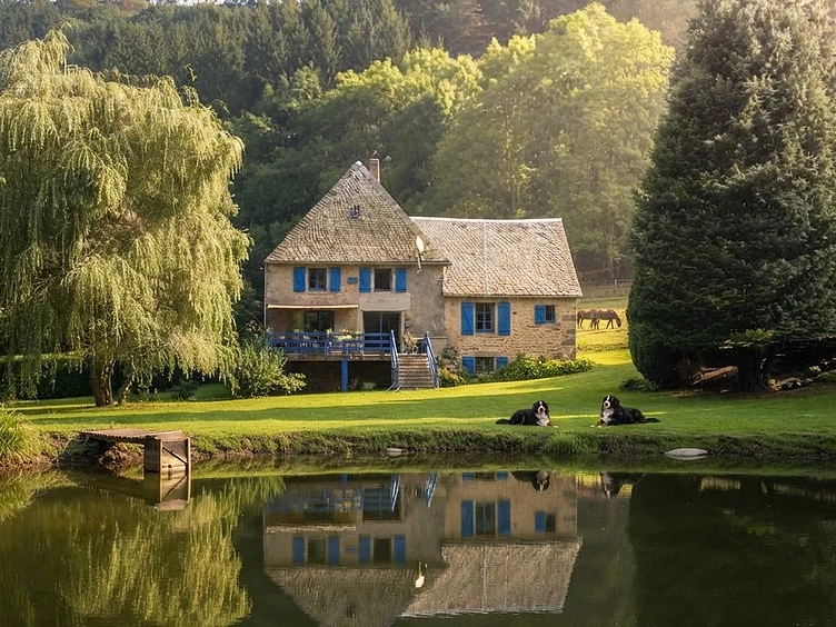 La vieille maison du Moulin de Loup entourée d'arbres et d'un étang, avec les Bouviers Bernois et les chevaux