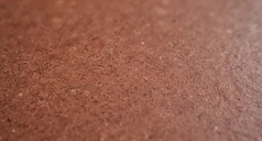 Linoleum