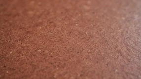 Linoleum