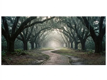 Things to Do in Savannah: The Local's Guide to the Good Stuff