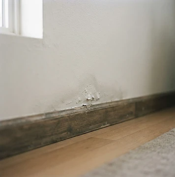 Wet drywall and baseboard showing early signs of water intrusion