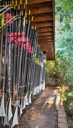Oar racks along the boathouse