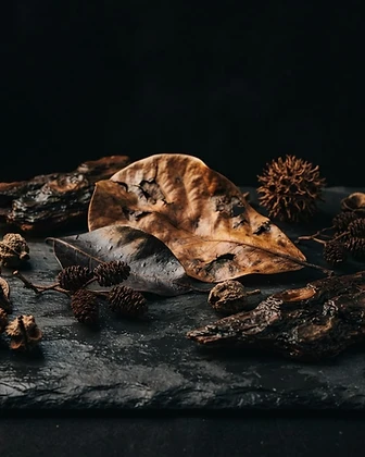 Botanicals, Additives & Food