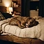 Overnight Stays
