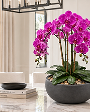 Objets & Fleurs — Cassis Ombre permanent orchid composition