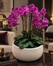 Objets & Fleurs — Imperial Violet permanent orchid composition