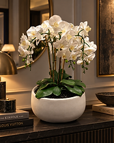 Objets & Fleurs — Reverie Contraste permanent Phalaenopsis orchid composition, White palette with black stone and a white vessel — view 1