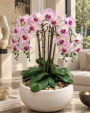 Objets & Fleurs — Moiré Clair permanent orchid composition