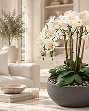 Objets & Fleurs — Reverie Ombre permanent orchid composition