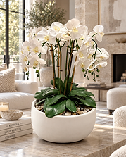 Objets & Fleurs — Reverie Clair permanent orchid composition