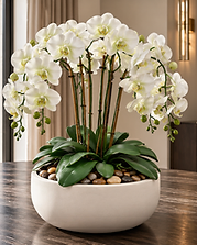 Objets & Fleurs — Verdant Veil permanent orchid composition