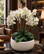 Objets & Fleurs — Verdant Contraste permanent orchid composition