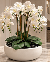 Objets & Fleurs — Reverie Contraste permanent Phalaenopsis orchid composition, White palette with black stone and a white vessel — view 2