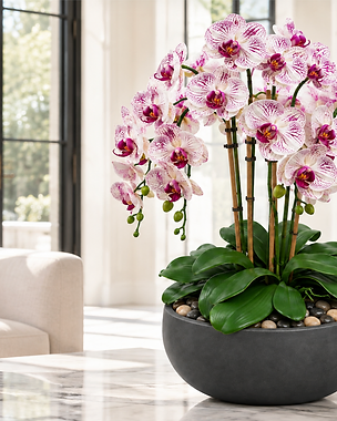 The Rosalie — Plum Veil permanent orchid arrangement by Objets & Fleurs within a luxury interior
