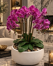 Objets & Fleurs — Cassis Clair permanent orchid composition