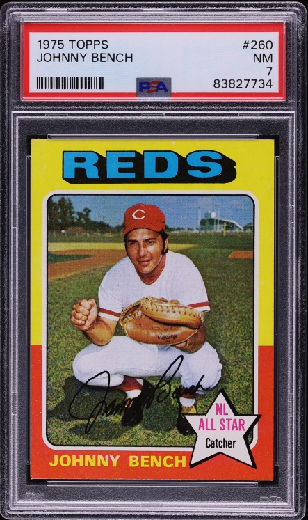 Johnny Bench #260 card